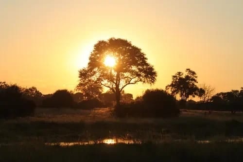 The Silent Heat Crisis: Why African Cities Must Prepare Now