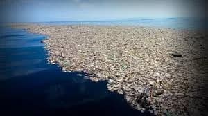 Plastic Pollution Is Choking Our Oceans